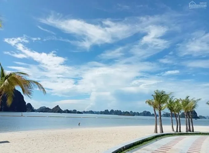 Golden Sea 3*